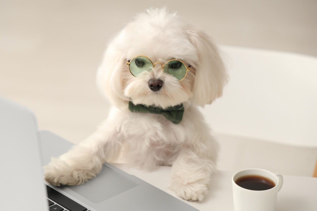 Read Deerfield Recovery Services Blog Articles