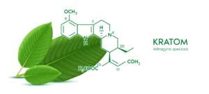 Customized Protocols Including MAT And Ambulatory Detox Cross Tapers
